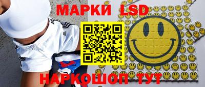 a pvp Краснодар