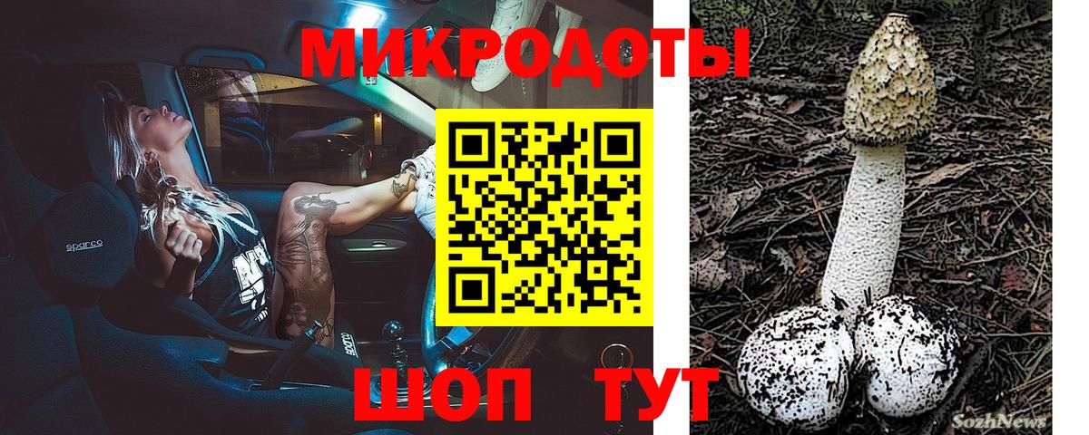 Псилоцибиновые грибы Cubensis  Вход с VPN  Ирбит  Галлюциногенные грибы Cubensis 